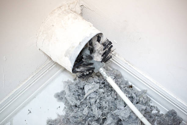 Best Dryer Vent Cleaning Services  in Manito, IL